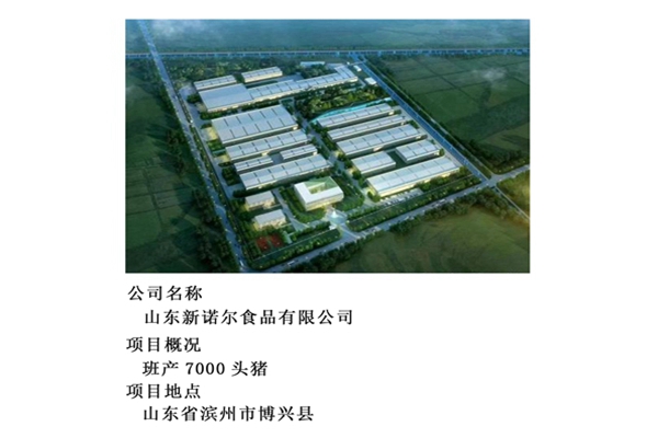 新诺尔